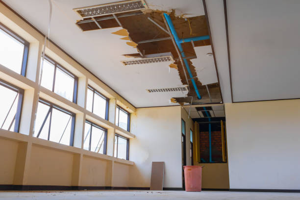 Best Fire Damage Restoration  in Valdez, AK