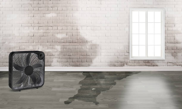Best Flood restoration services  in Valdez, AK