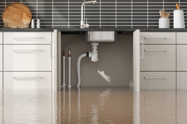 Best Water damage restoration near me  in Valdez, AK