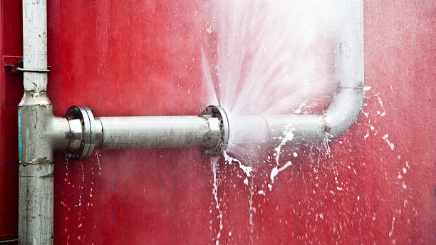 Best Mold removal after water damage  in Valdez, AK