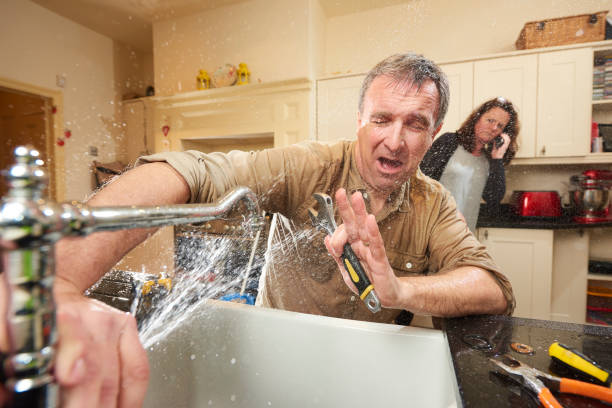 Best Water damage cleanup near me  in Valdez, AK